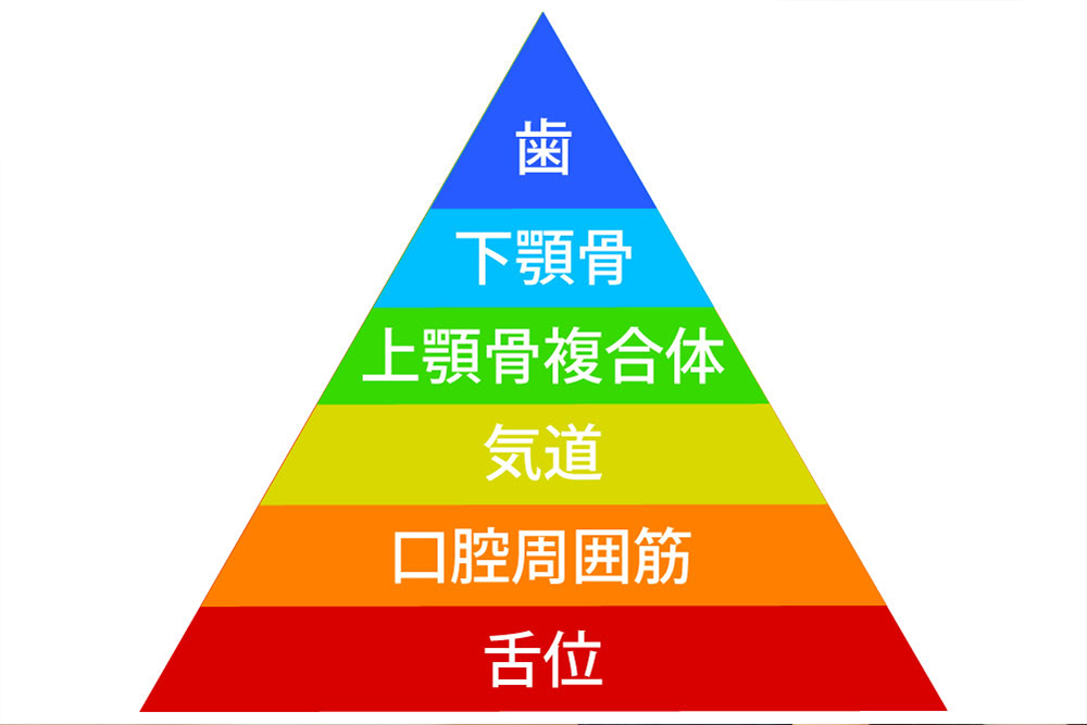 ランパ矯正の治療目的