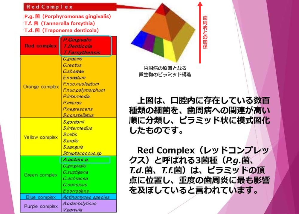 レッドコンプレックス